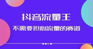 抖音流量王，不需要担心流量的赛道，美女图文音乐号升级玩法（附实操+养号流程）-沐风资源库