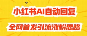 【原创开发】小红书AI自动回复，全网首发引流涨粉思路-沐风资源库
