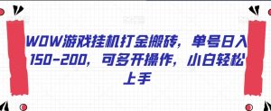 WOW游戏挂机打金搬砖，单号日入150-200，可多开操作，小白轻松上手【揭秘】-沐风资源库