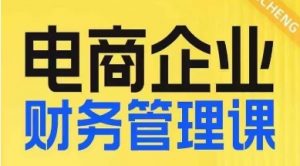 电商企业财务管理线上课，为电商企业规划财税-沐风资源库