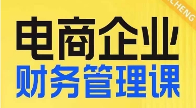 电商企业财务管理线上课，为电商企业规划财税-沐风资源库