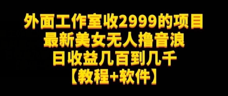 外面工作室收2999的项目最新美女无人撸音浪日收益几百到几千【教程+软件】（仅揭秘）-沐风资源库