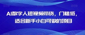 AI数字人短视频带货，门槛低，适合新手小白可做的项目-沐风资源库