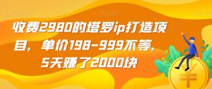 收费2980的塔罗ip打造项目，单价198-999不等，5天赚了2000块【揭秘】-沐风资源库