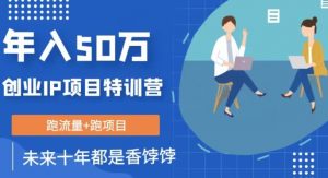 创业IP年入50W核心方法，未来10年最值得做的项目【揭秘】-沐风资源库