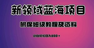 虚拟资源蓝海领域新项目，轻松日入800＋，附保姆级教程及资料-沐风资源库