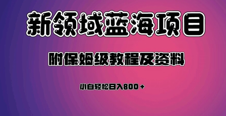 虚拟资源蓝海领域新项目，轻松日入800＋，附保姆级教程及资料-沐风资源库