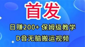 首发，抖音无脑搬运视频，日赚200+保姆级教学【揭秘】-沐风资源库