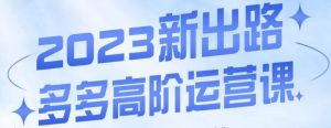 大炮·多多高阶运营课，3大玩法助力打造爆款，实操玩法直接亮出干货-沐风资源库