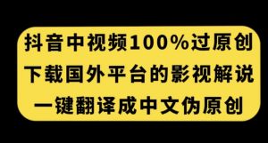 抖音中视频百分百过原创，下载国外平台的电影解说，一键翻译成中文获取收益-沐风资源库