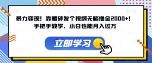 暴力变现！靠搬砖发个视频无脑撸金2000+！手把手教学，小白也能月入过万【揭秘】-沐风资源库