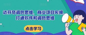 达芬奇调色思维，商业项目实操，打通软件和调色思维-沐风资源库