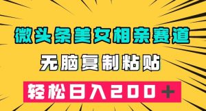微头条冷门美女相亲赛道，无脑复制粘贴，轻松日入200＋【揭秘】-沐风资源库