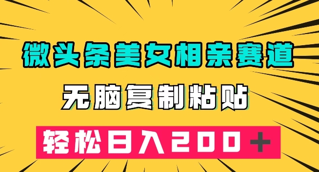 微头条冷门美女相亲赛道，无脑复制粘贴，轻松日入200＋【揭秘】-沐风资源库