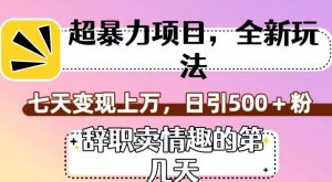超暴利项目，全新玩法（辞职卖情趣的第几天），七天变现上万，日引500+粉【揭秘】-沐风资源库