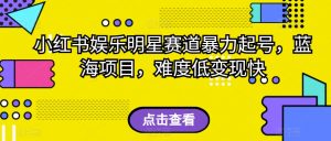 小红书娱乐明星赛道暴力起号，蓝海项目，难度低变现快【揭秘】-沐风资源库