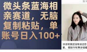 微头条蓝海相亲赛道，无脑复制粘贴，单账号日入100+-沐风资源库