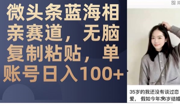 微头条蓝海相亲赛道，无脑复制粘贴，单账号日入100+-沐风资源库