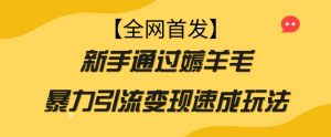 【全网首发】新手通过薅羊毛暴力引流变现速成玩法-沐风资源库