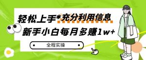 每月多赚1w+，新手小白如何充分利用信息赚钱，全程实操！【揭秘】-沐风资源库