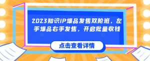 2023知识IP爆品发售双阶班，左手爆品右手发售，开启批量收钱-沐风资源库
