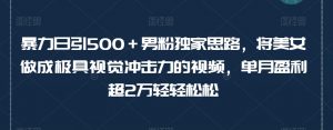 暴力日引500＋男粉独家思路，将美女做成极具视觉冲击力的视频，单月盈利超2万轻轻松松-沐风资源库