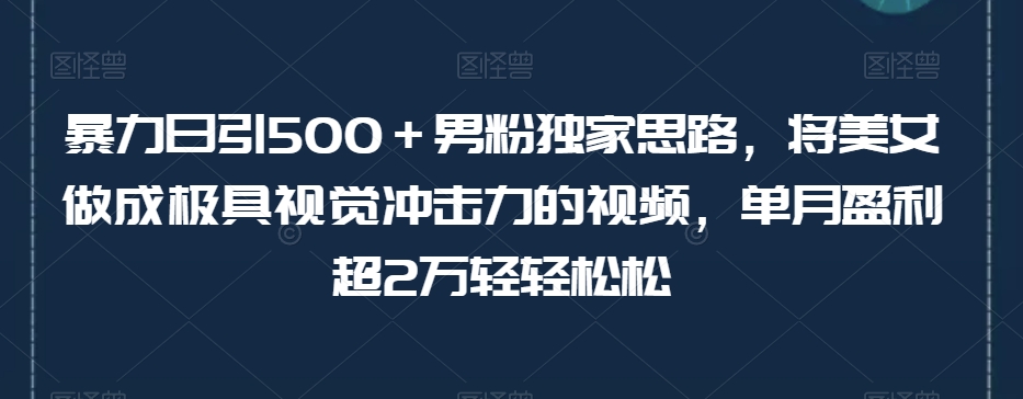 暴力日引500＋男粉独家思路，将美女做成极具视觉冲击力的视频，单月盈利超2万轻轻松松-沐风资源库