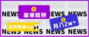 简单粗暴零成本，高回报，全网视频VIP掘金项目，月入2万＋【揭秘】-沐风资源库