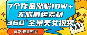 7个作品涨粉10W+，无脑搬运素材，全景美女视频爆款玩法分享【揭秘】-沐风资源库
