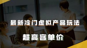 最新冷门虚拟产品玩法，超高客单价，月入2-3万＋【揭秘】-沐风资源库