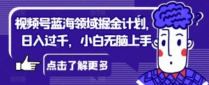 视频号蓝海领域掘金计划，日入过千，小白无脑上手【揭秘】-沐风资源库