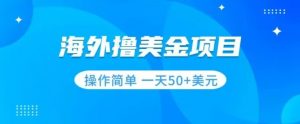 撸美金项目无门槛操作简单小白一天50+美刀-沐风资源库