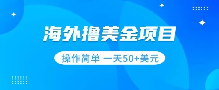 撸美金项目无门槛操作简单小白一天50+美刀-沐风资源库