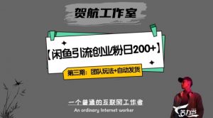 第三期：暴力引流，无脑搬运，闲鱼创业粉引流一天200+，更新全自动发货的团队闭环模式【揭秘】-沐风资源库
