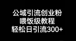 公域引流创业粉，喂饭级教程，轻松日引流300+【揭秘】-沐风资源库