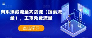 淘系爆款流量实战课（搜索流量），主攻免费流量-沐风资源库