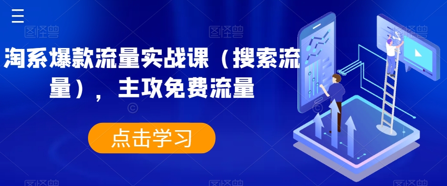 淘系爆款流量实战课（搜索流量），主攻免费流量-沐风资源库