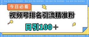 视频号引流精准粉，日引100+，流量爆炸【揭秘】-沐风资源库