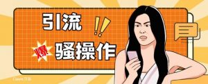 最新引流骚操作，单账号日引50-100，简单粗暴，适合于小白各行各业都可以进行操作，精准粉丝加到爆-沐风资源库