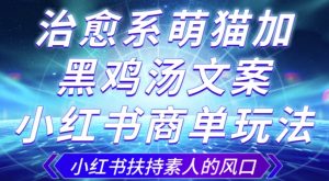 治愈系萌猫加+黑鸡汤文案，小红书商单玩法，3~10天涨到1000粉，一单200左右-沐风资源库