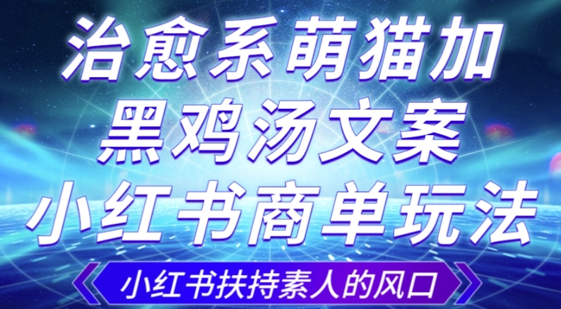 治愈系萌猫加+黑鸡汤文案，小红书商单玩法，3~10天涨到1000粉，一单200左右-沐风资源库