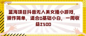 蓝海项目抖音无人美女播小游戏，操作简单，适合0基础小白，一周收益2500【揭秘】-沐风资源库