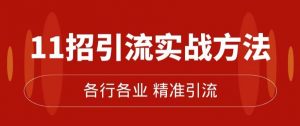精准引流术：11招引流实战方法，让你私域流量加到爆（11节课完整)-沐风资源库