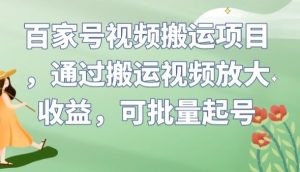 百家号视频搬运项目，通过搬运视频放大收益，可批量起号【揭秘】-沐风资源库