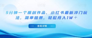 5分钟一个原创作品，小红书最新冷门玩法，简单粗暴，轻松月入1W＋【揭秘】-沐风资源库