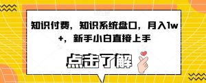 知识付费，知识系统盘口，月入1w+，新手小白直接上手-沐风资源库