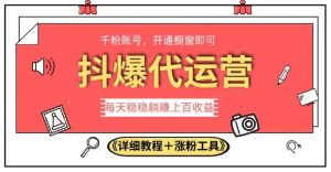 2023抖爆代运营，单号日躺赚300，简单易操作做无上限【揭秘】-沐风资源库
