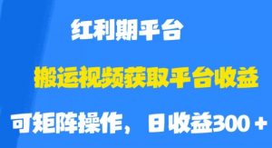 搬运视频获取平台收益，平台红利期，附保姆级教程【揭秘】-沐风资源库