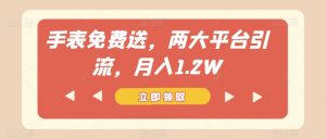 手表免费送，两大平台引流，月入1.2W【揭秘】-沐风资源库