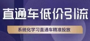直通车低价引流课，系统化学习直通车精准投放-沐风资源库